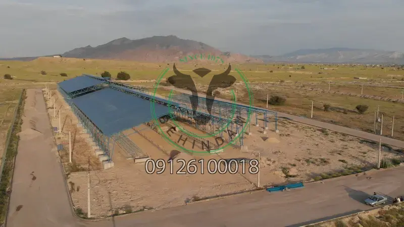 فری استال فری استال