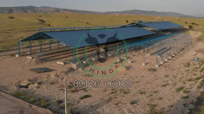 فری استال فری استال