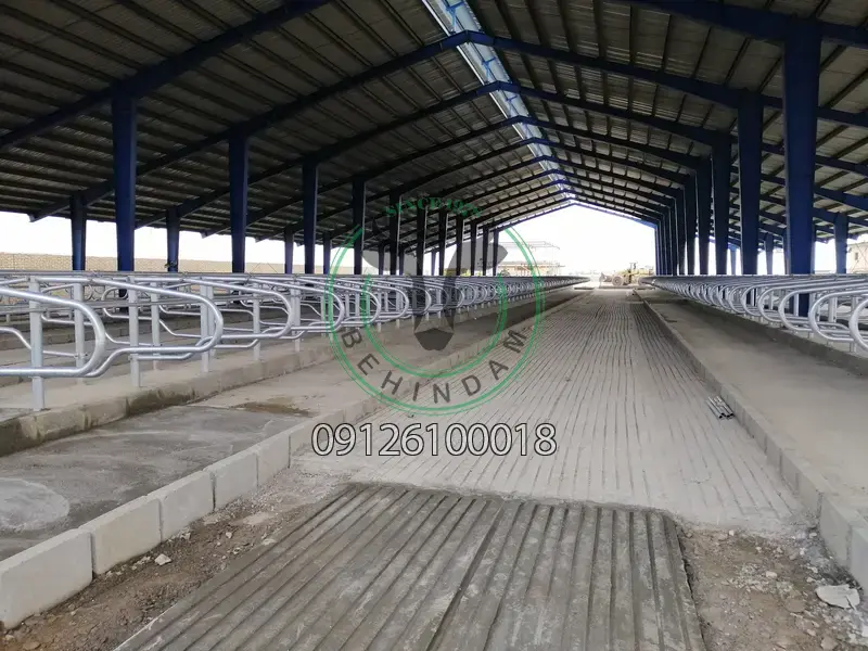 فری استال فری استال