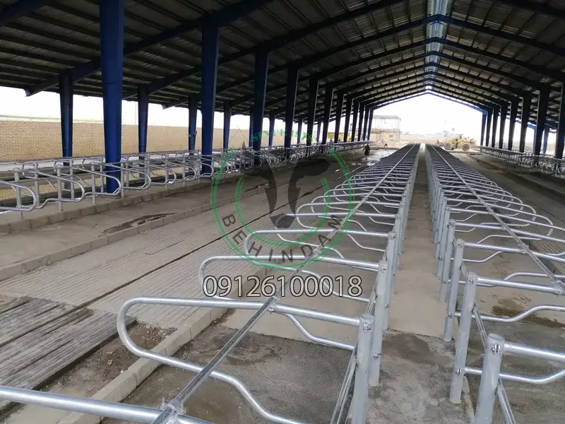 فری استال فری استال