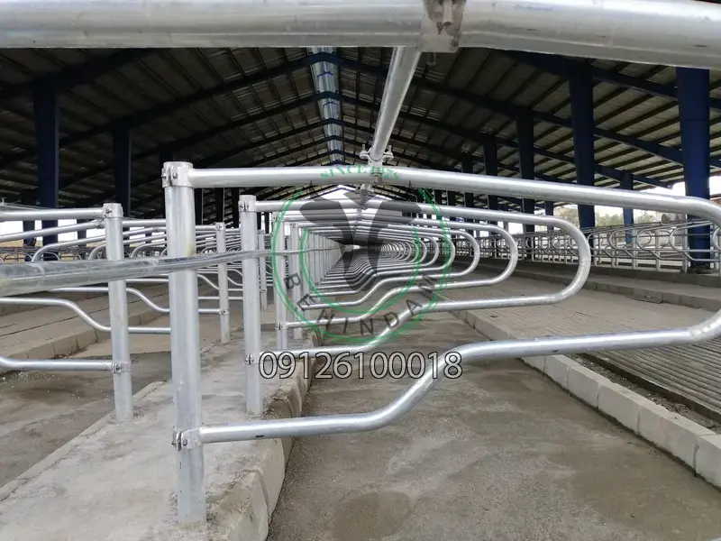 فری استال فری استال