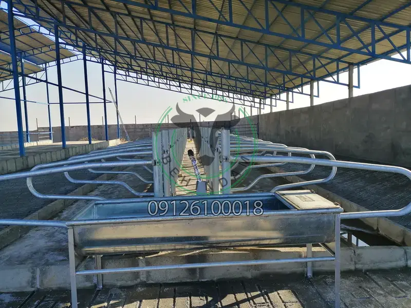 فری استال فری استال