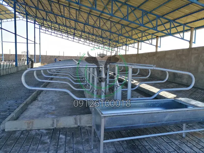 فری استال فری استال