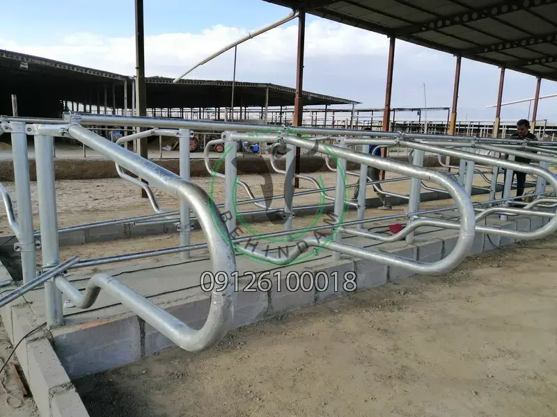 فری استال فری استال