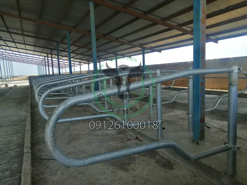 فری استال فری استال