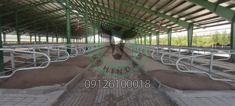 فری استال فری استال