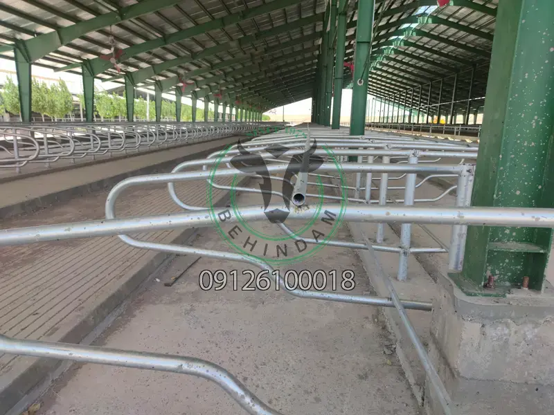 فری استال فری استال