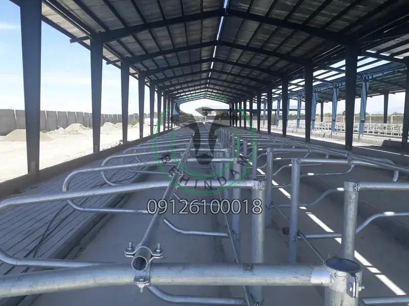 فری استال فری استال