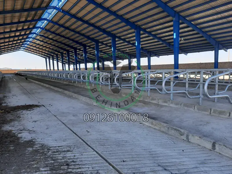 فری استال فری استال