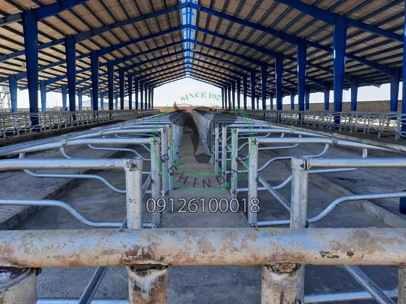 فری استال فری استال