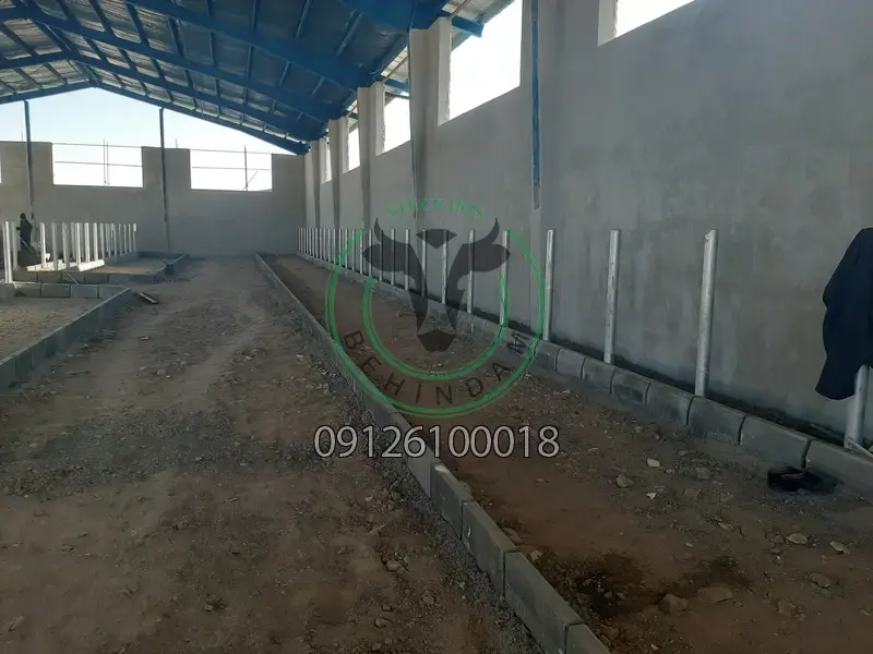 فری استال فری استال