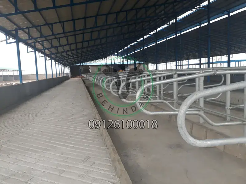 فری استال فری استال