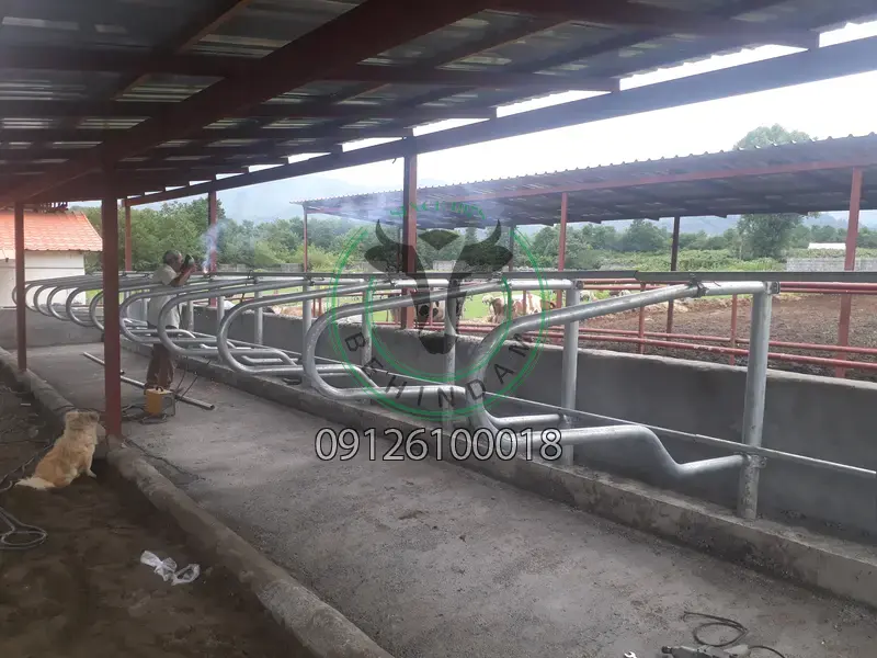 فری استال فری استال