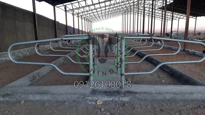 فری استال فری استال