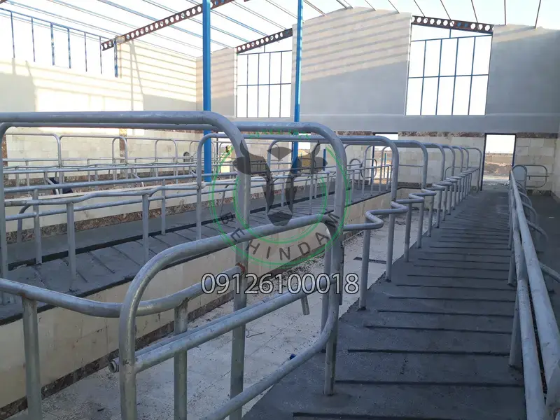 تصویر تصویر