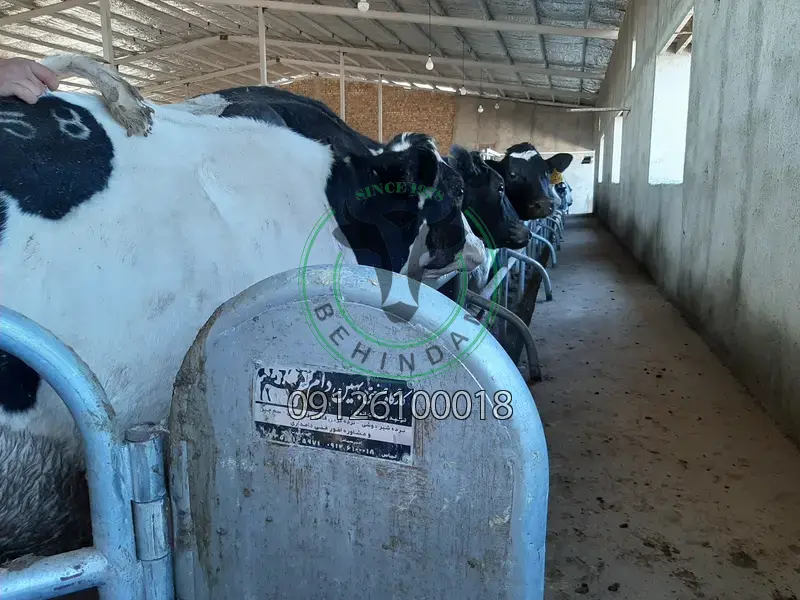 انواع فریم و باکس شیردوشی انواع فریم و باکس شیردوشی