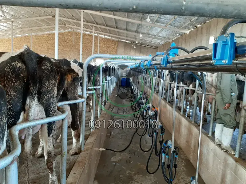 انواع فریم و باکس شیردوشی انواع فریم و باکس شیردوشی